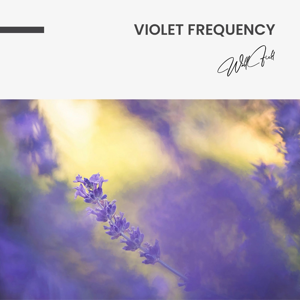 Violet Frequency – Verre
