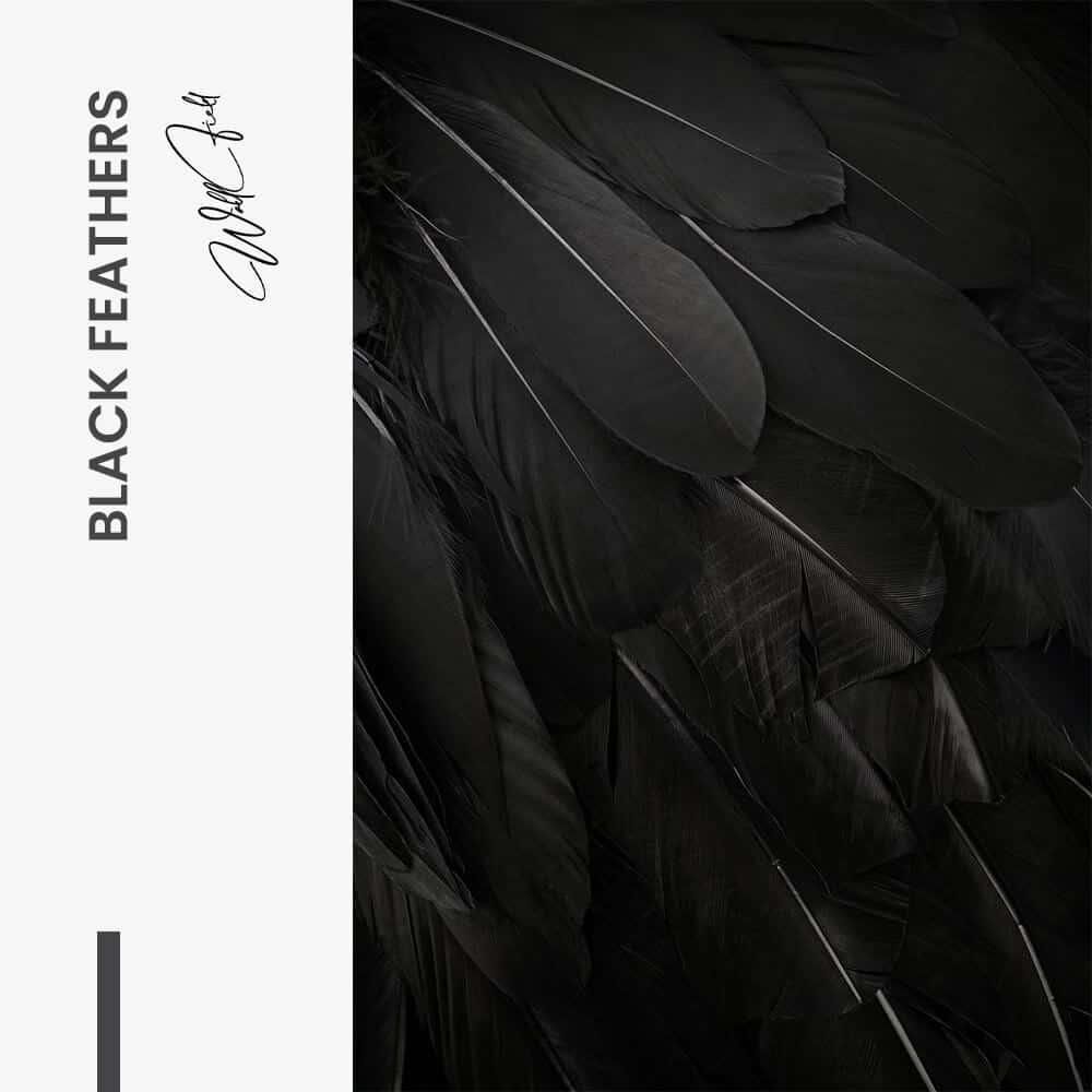 Black Feathers – Verre