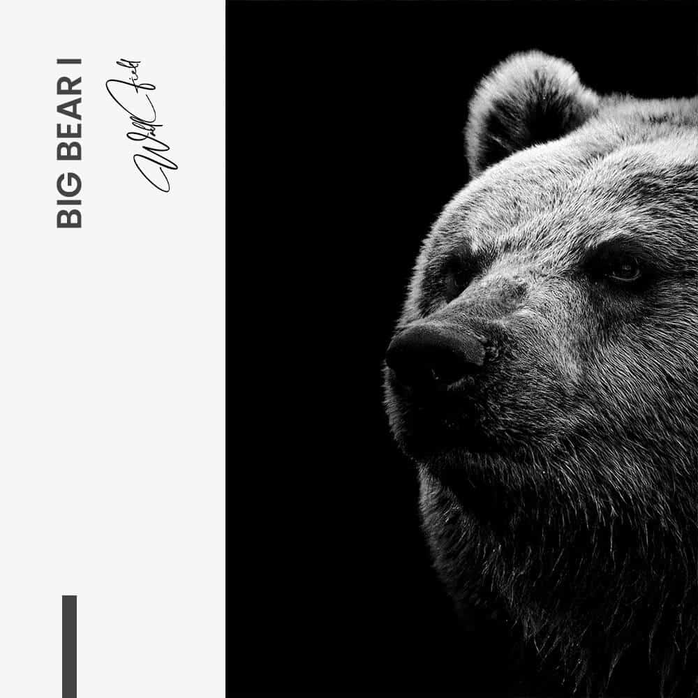 Bundle: "Big Bear" (2x) – Verre