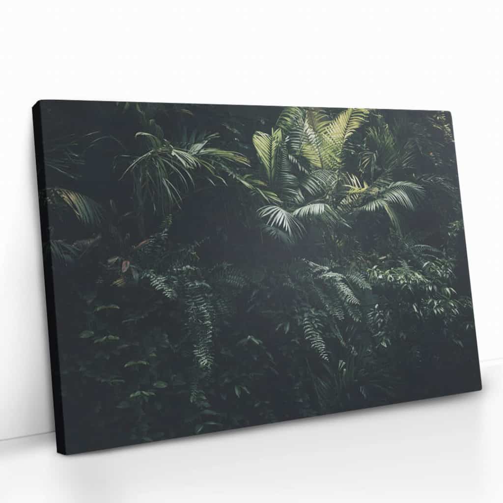 "Jungle plants"