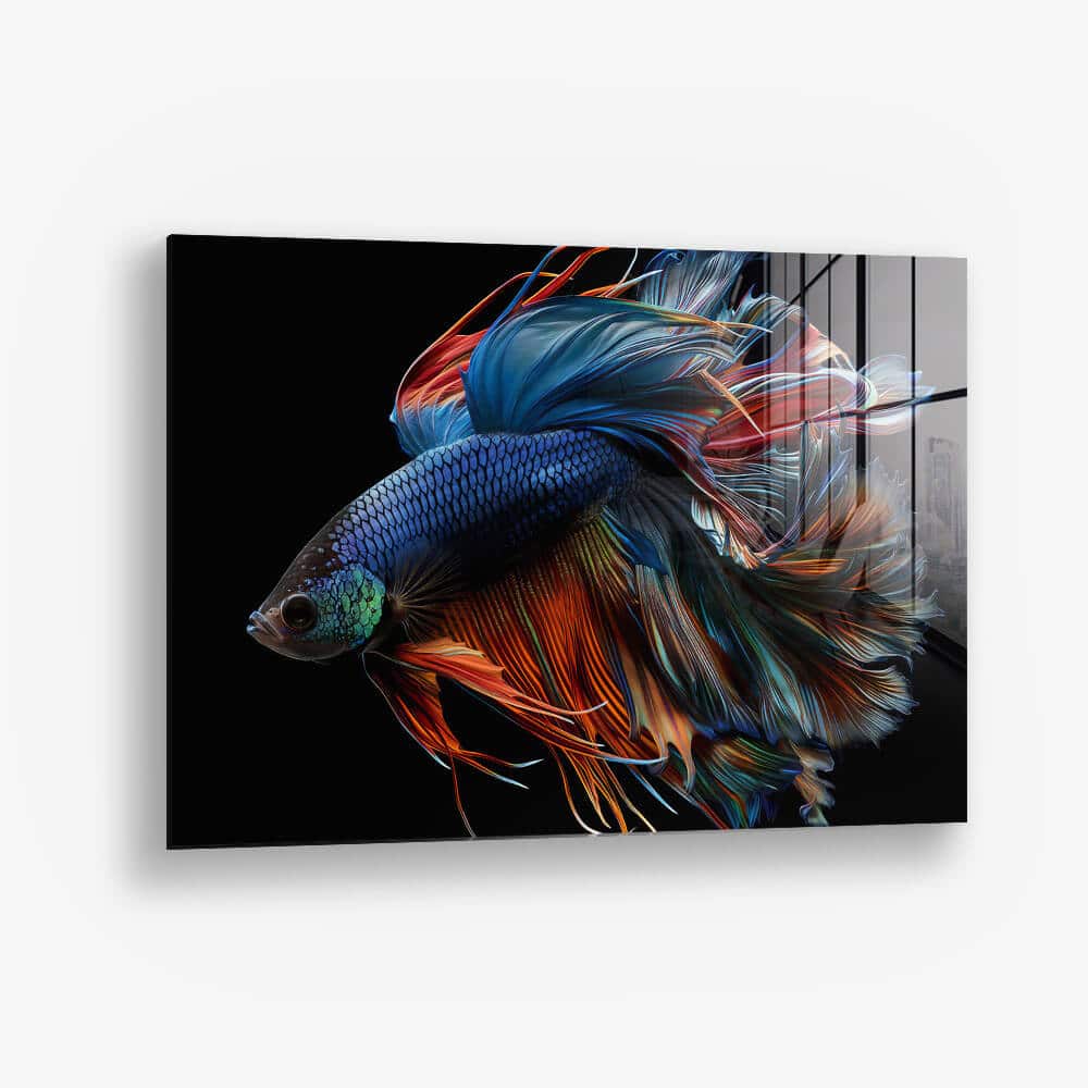 Betta Fish – Verre