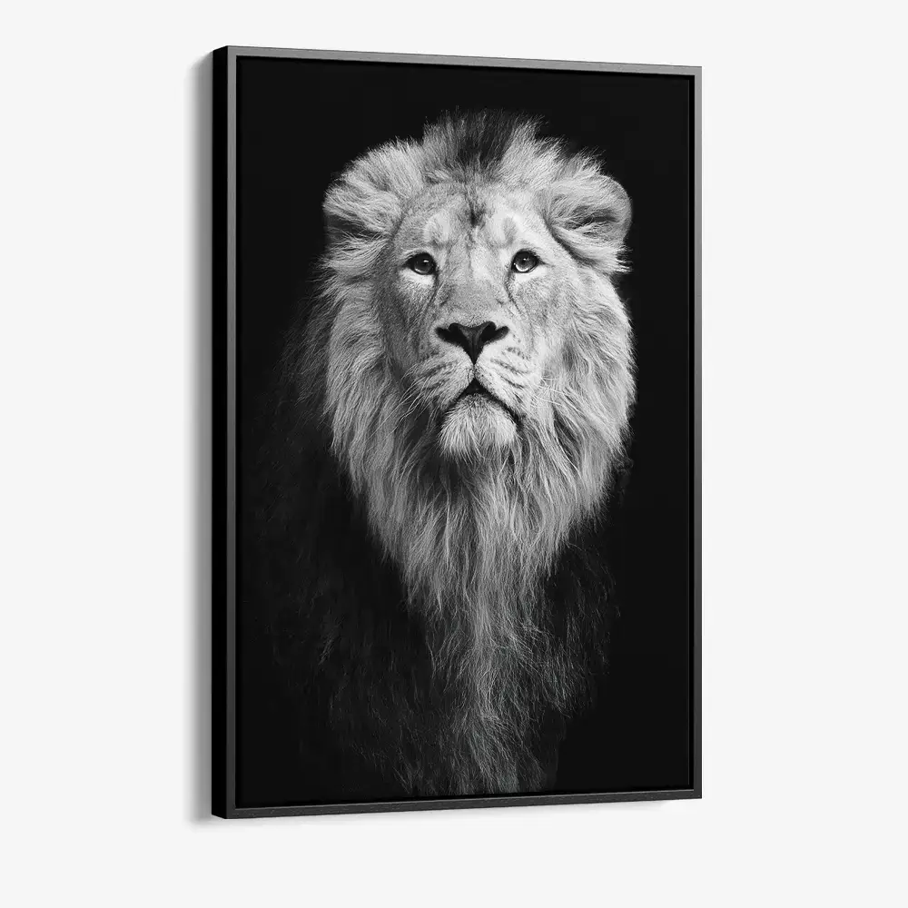 "Safari III"