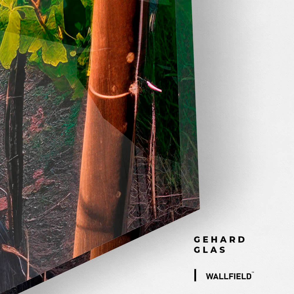 Vineyard – Verre