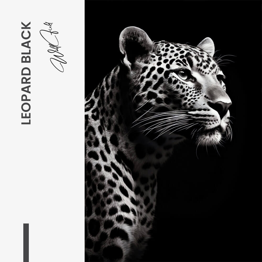 “Leopard Black”