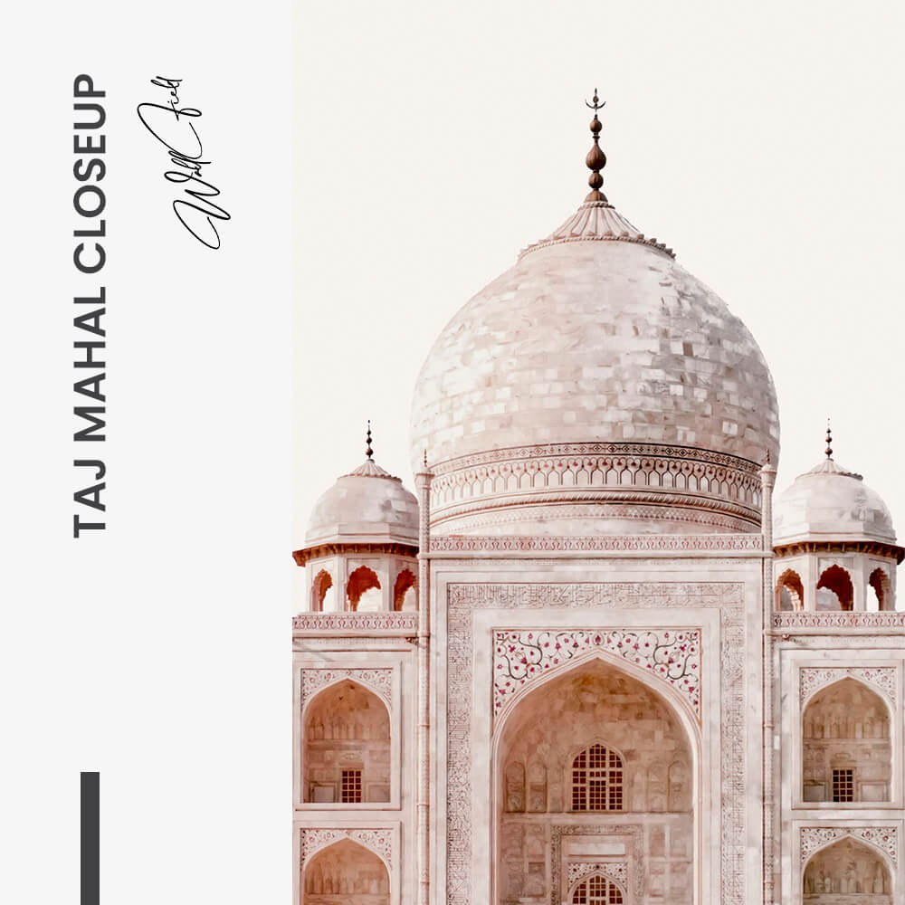 "Taj Mahal Closeup"