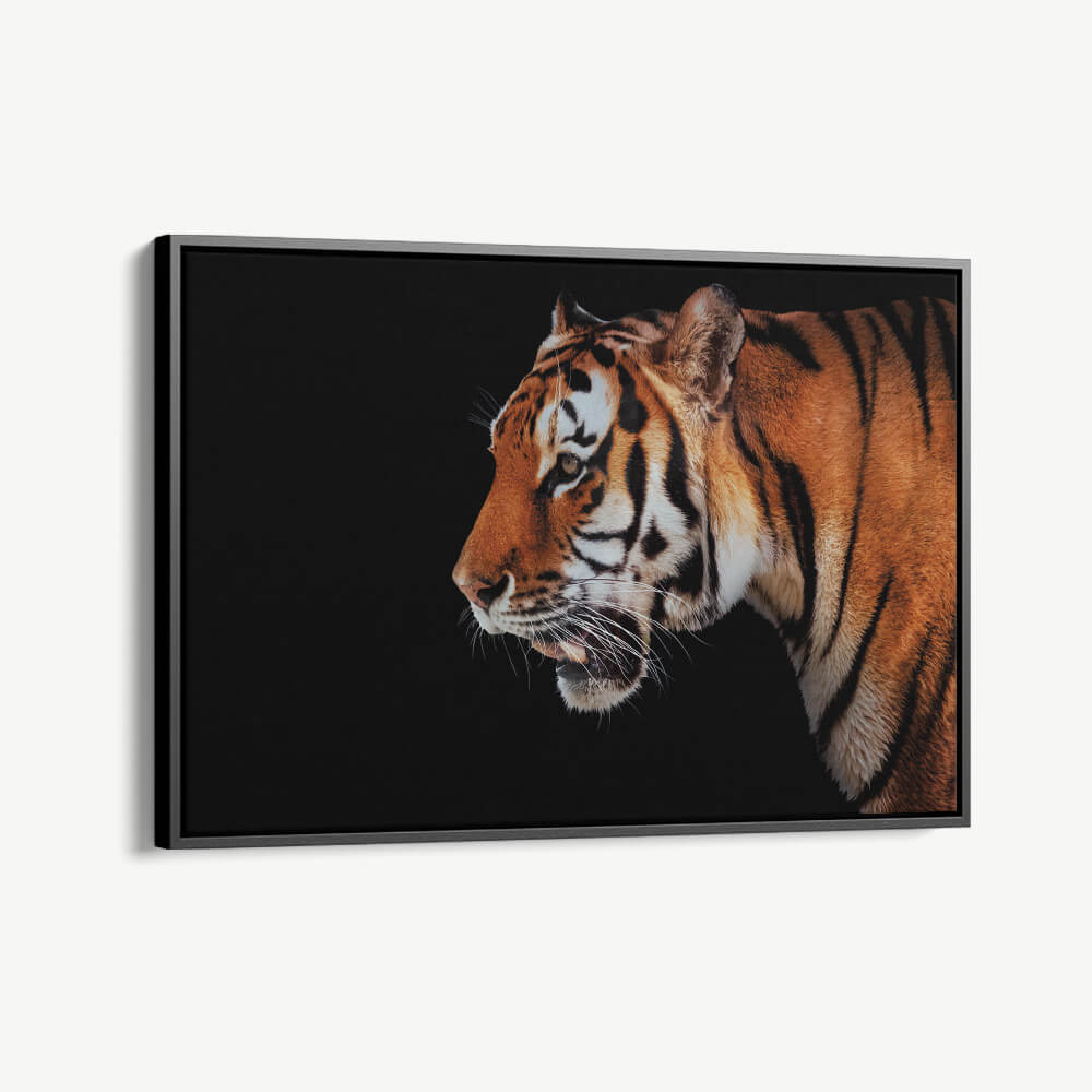 "Horizontal Tiger"