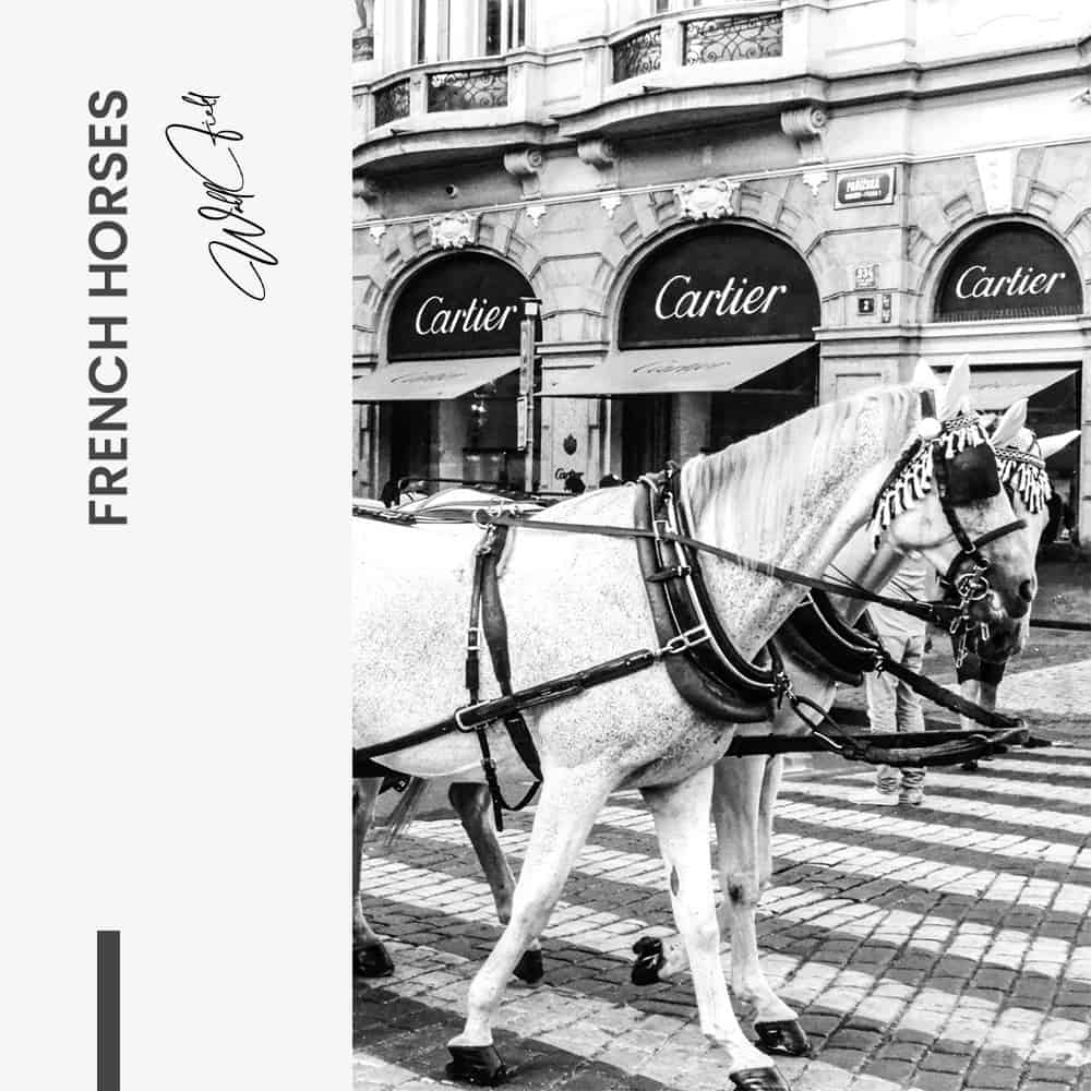 "French Horses"