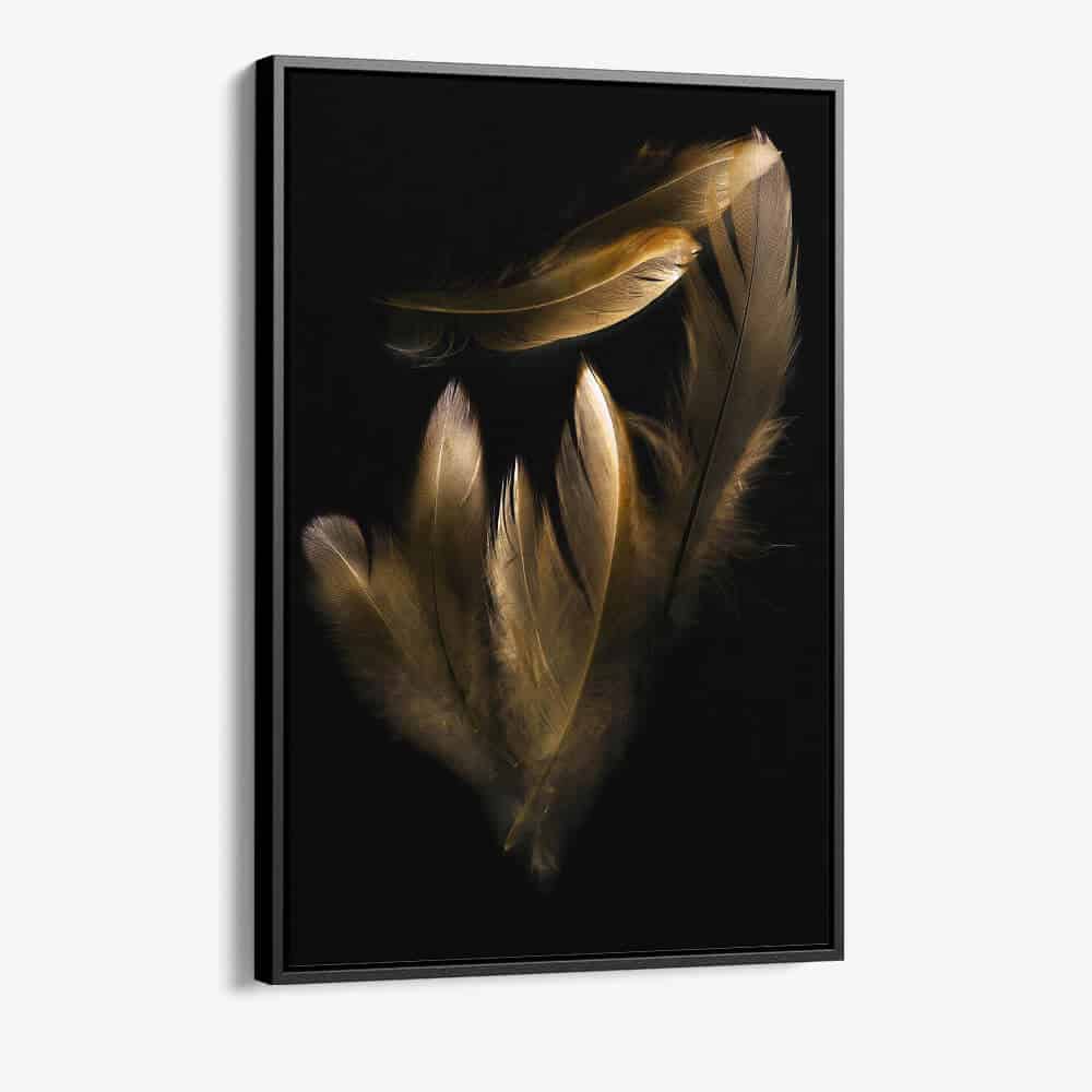 "Golden Feathers"