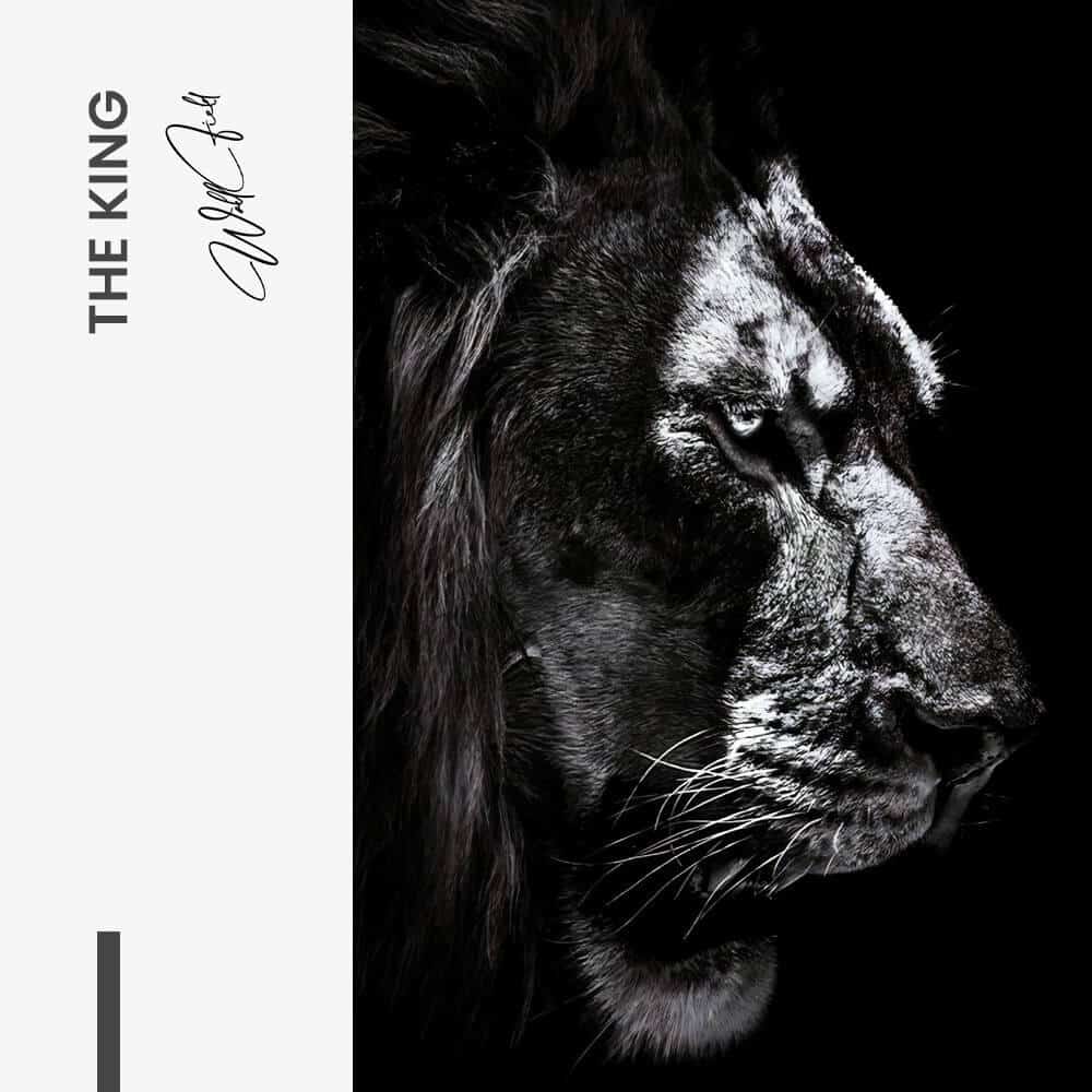 The King – Verre