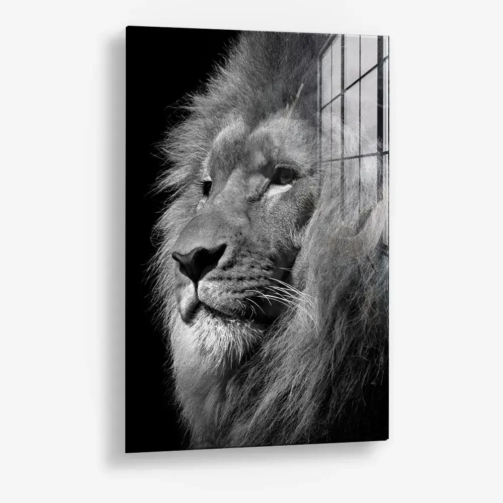 Regal Depth – Verre