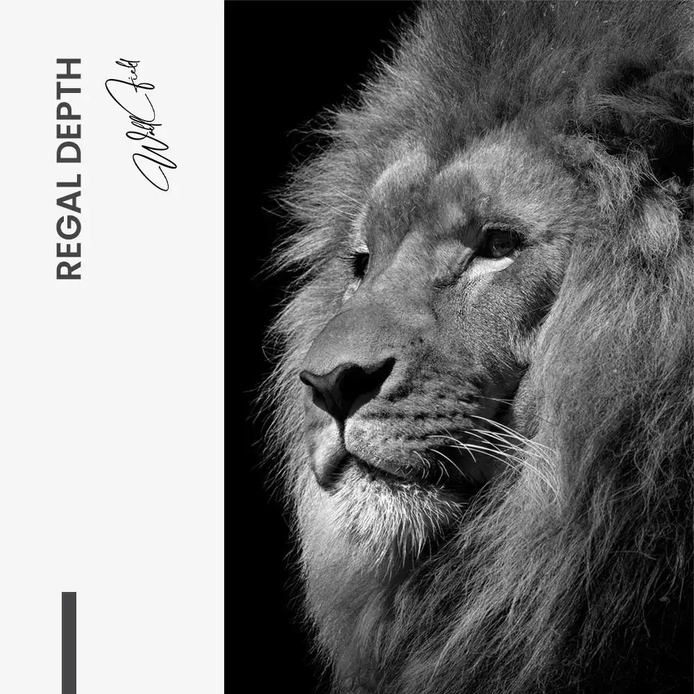 Regal Depth – Verre