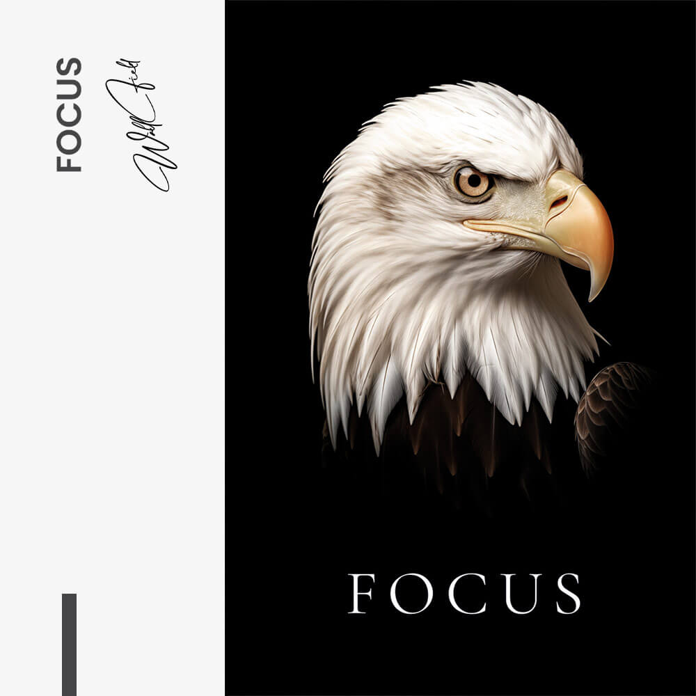 Focus – Verre