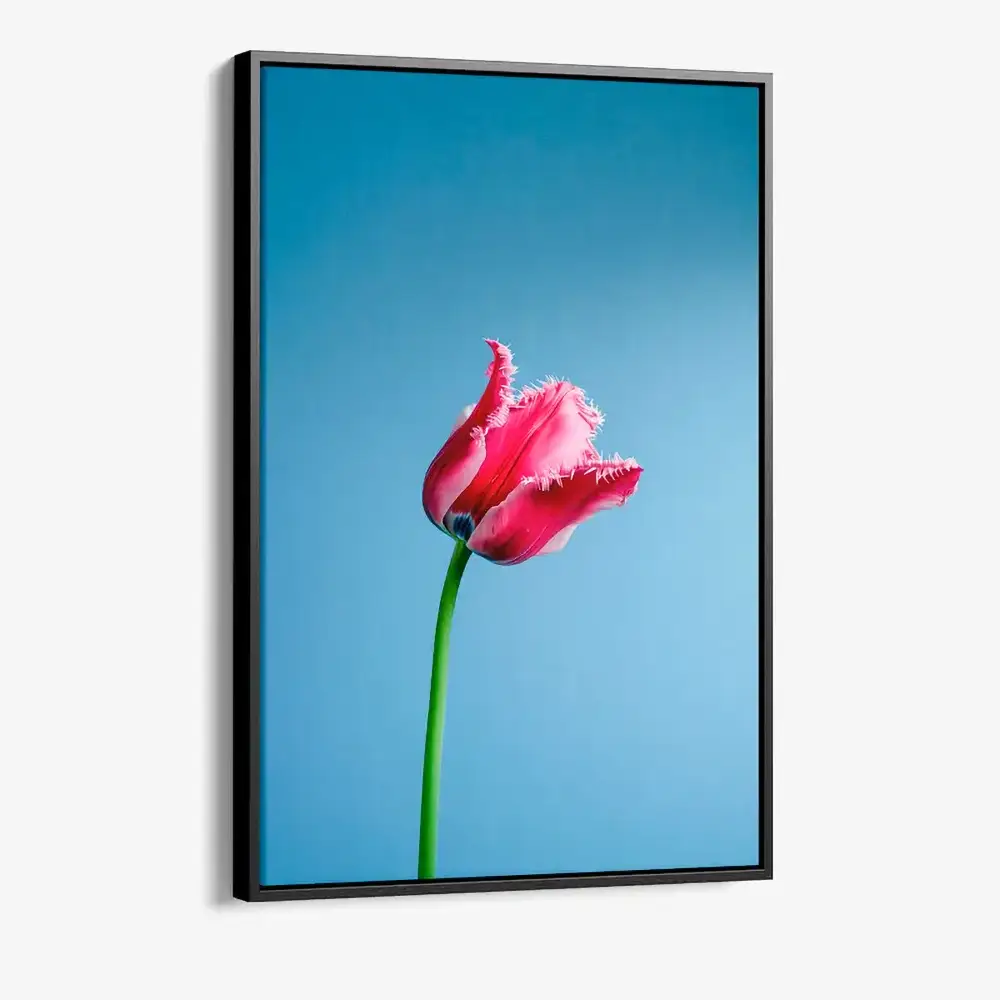 "Singular Tulip"