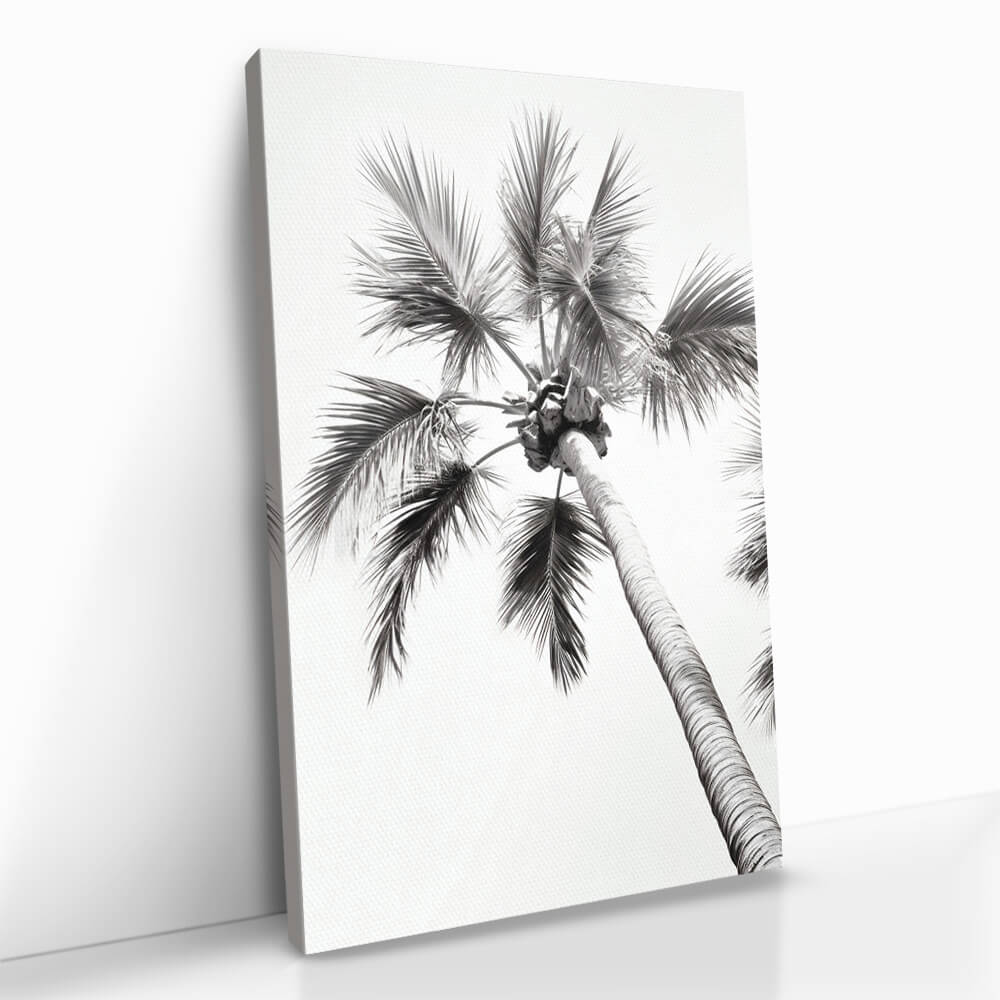 “Beachy Palm”