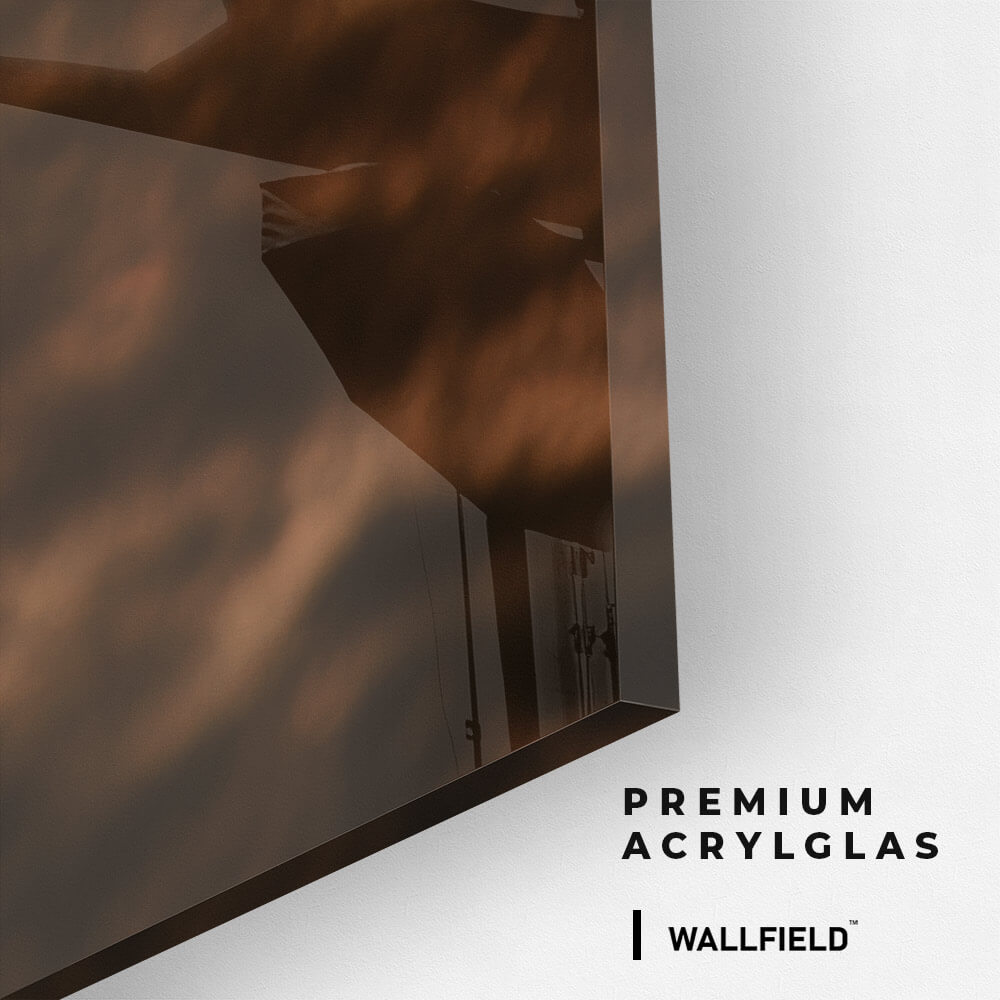 Wild Horses – Verre