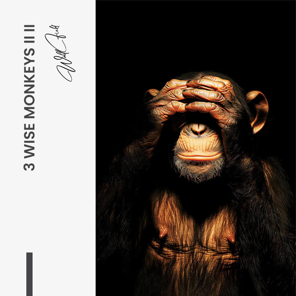 Bundle: "3 Wise Monkeys II" (3x)