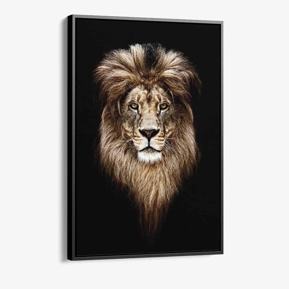 "Lion Head"