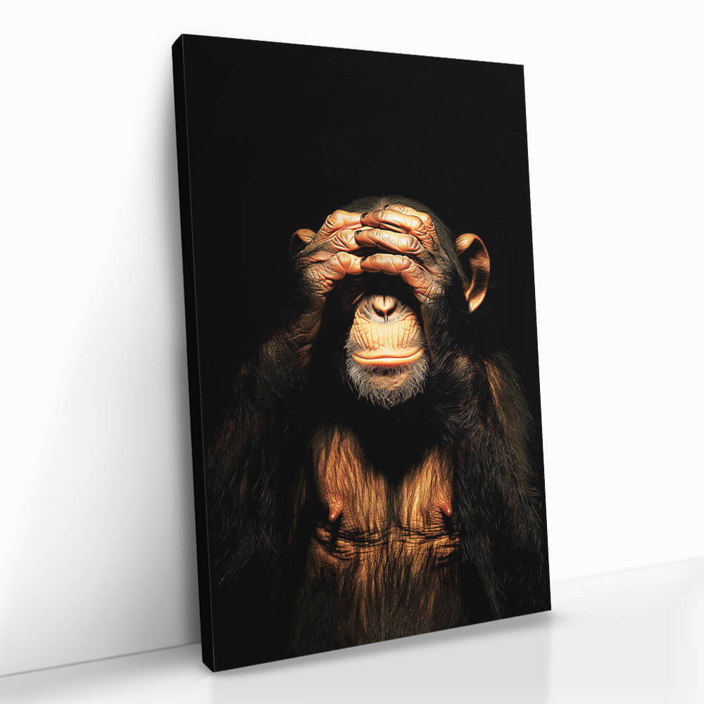 "Dark Monkey See no Evil"