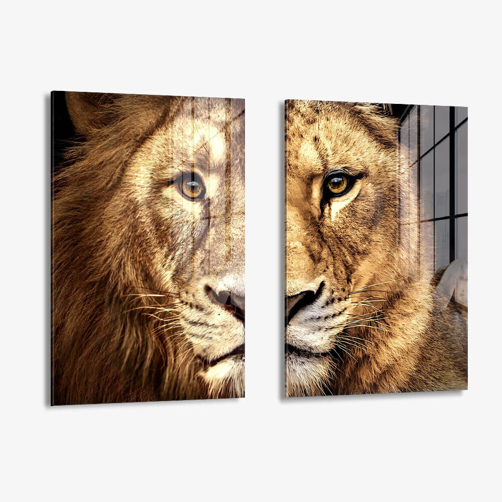 Bundle: "Lion & Lioness Color" (2x) – Verre