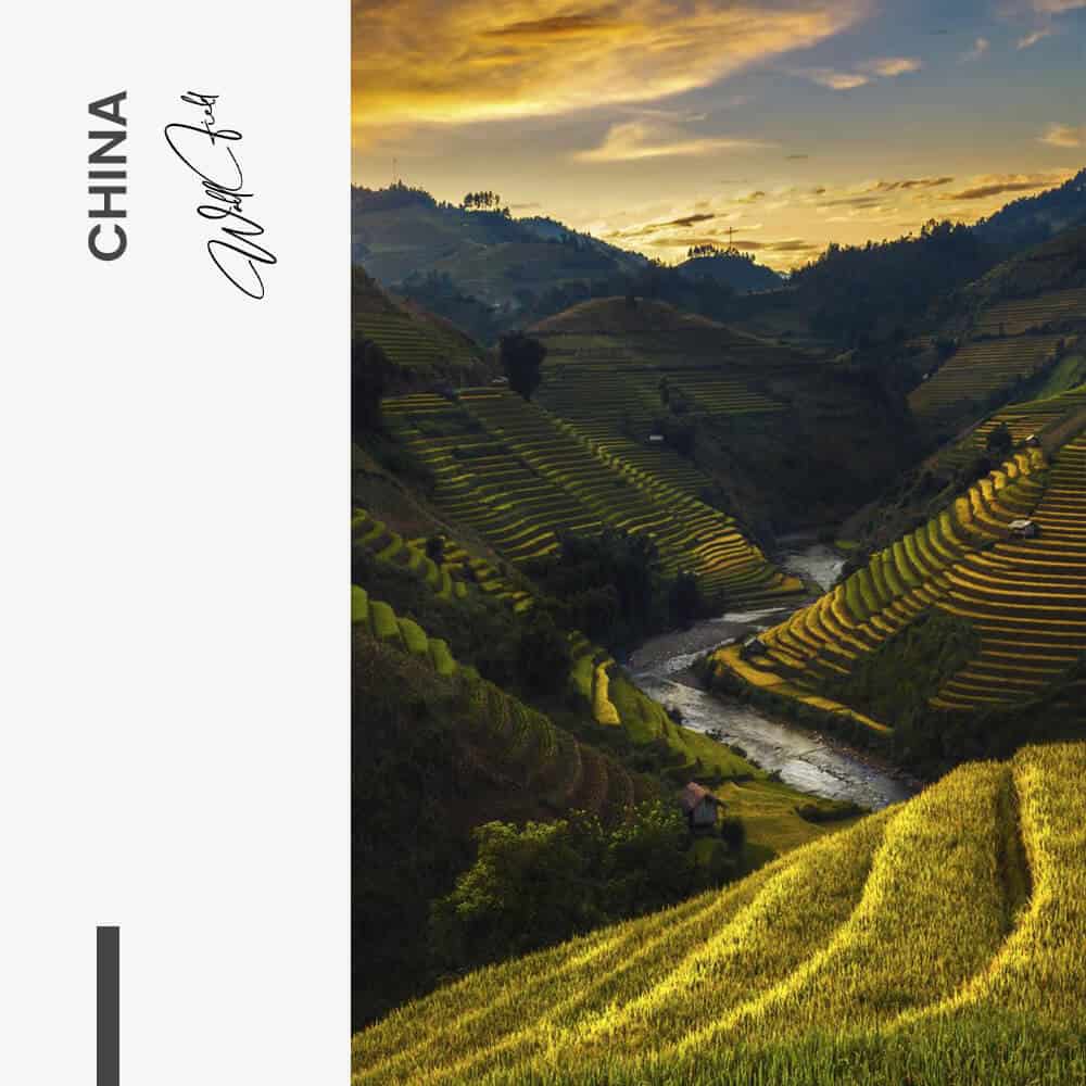 China - Verre