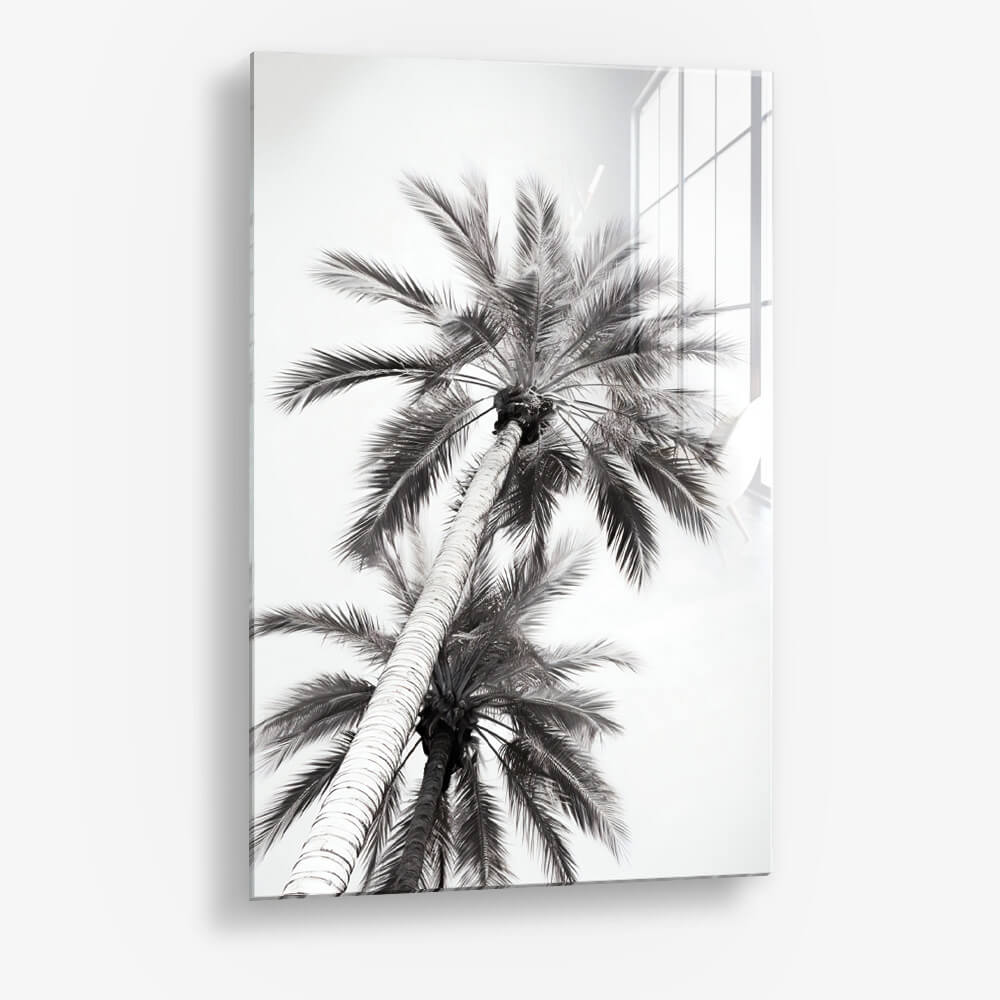 Under The Palm Trees – Verre