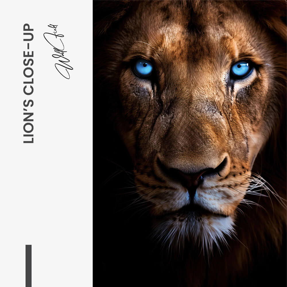 Lion's Close-up – Verre