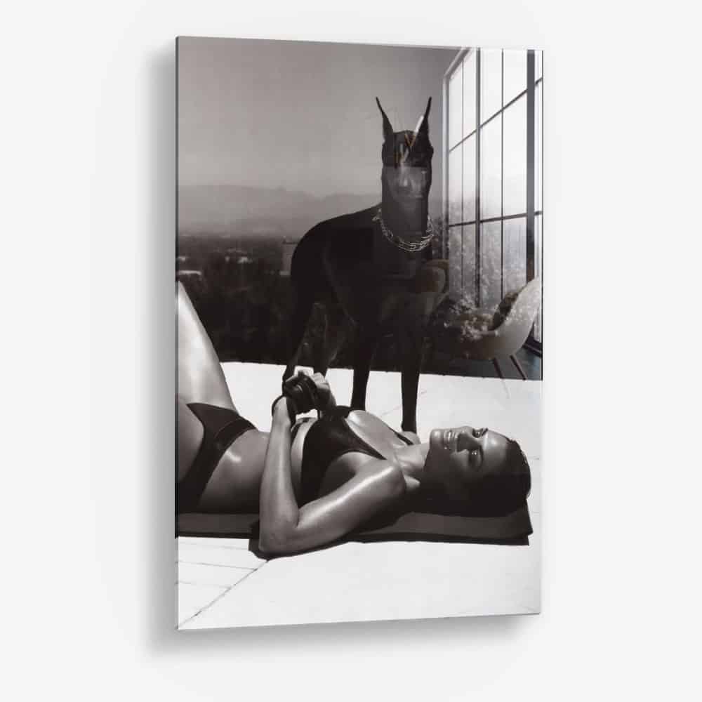 The Pool Guard – Verre