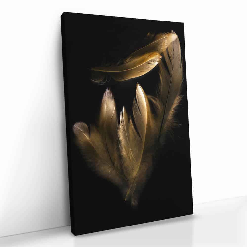 "Golden Feathers"