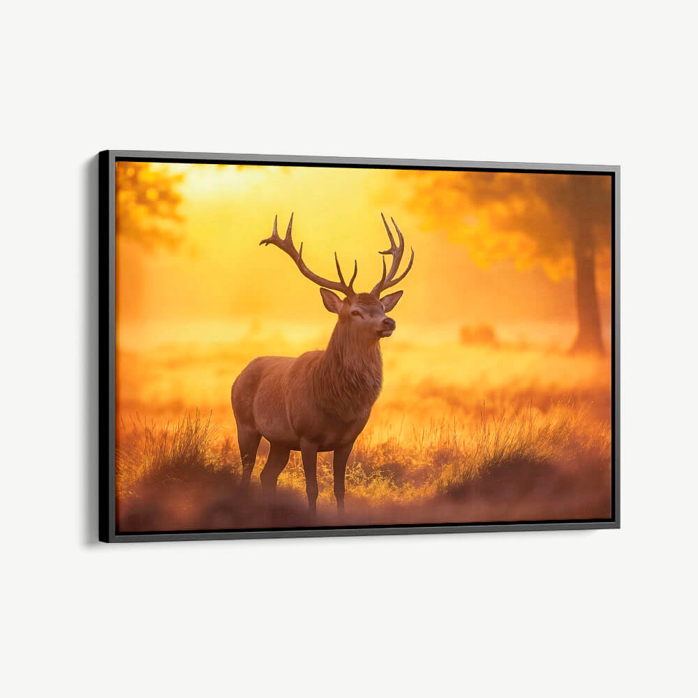 "Deer"