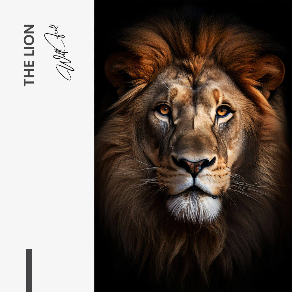 "The Lion"