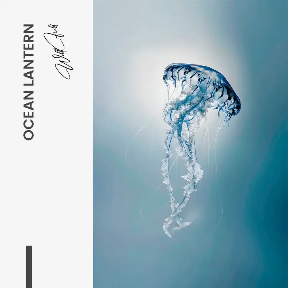 Ocean Lantern – Verre