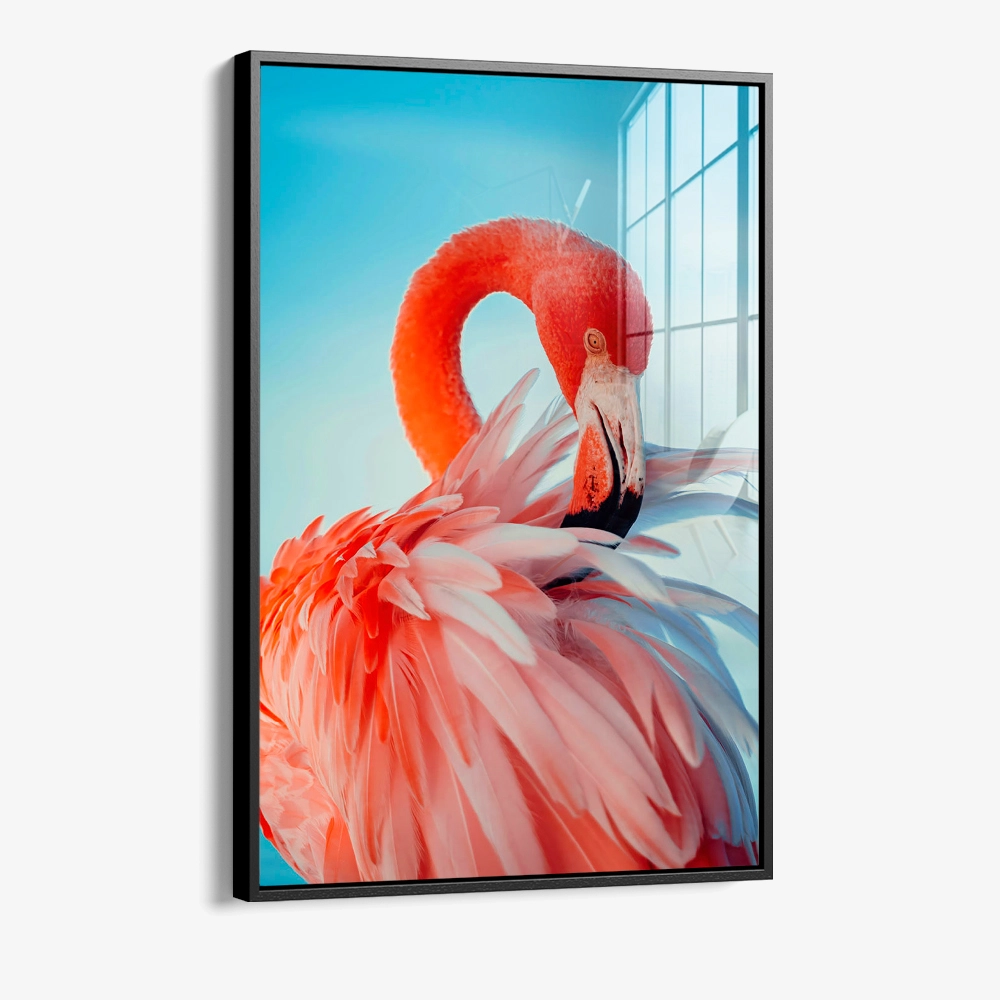 Featherframe – Verre