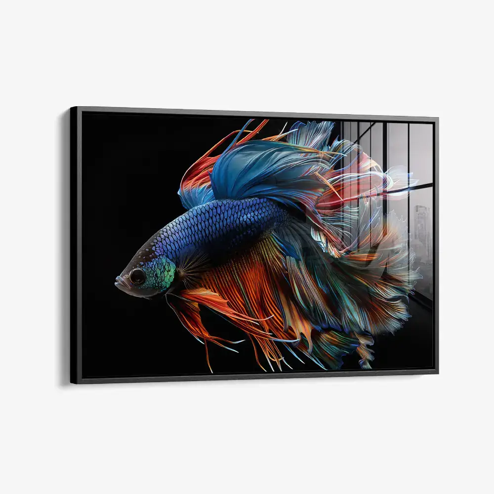 Betta Fish – Verre