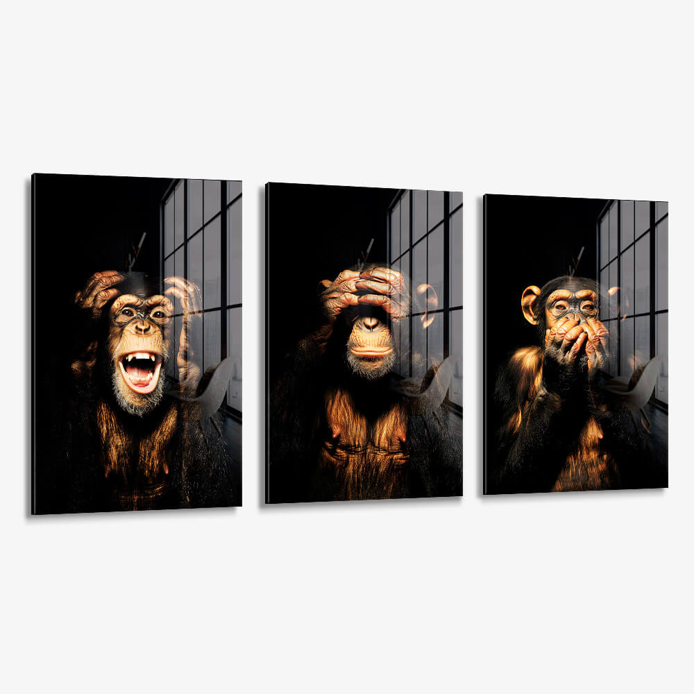 Bundle: "3 Wise Monkeys II" (3x) – Verre
