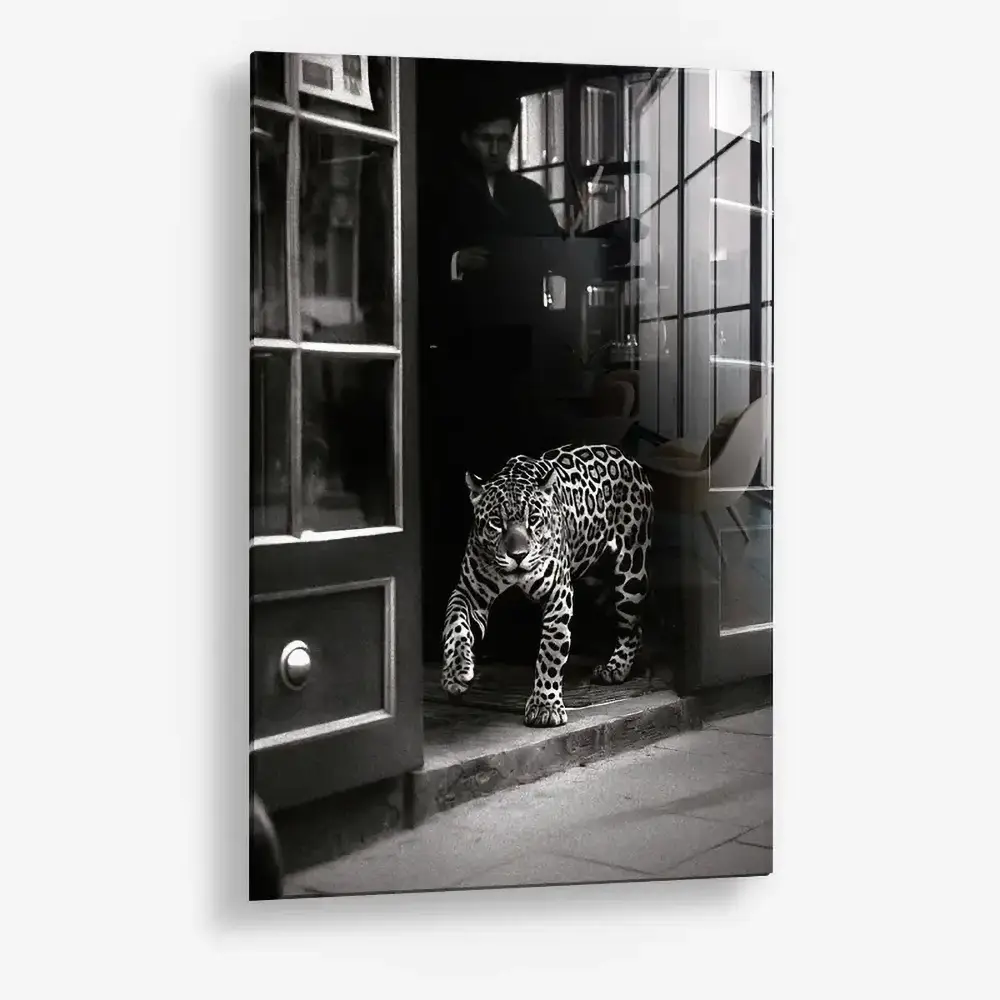 Urban Prowl – Verre