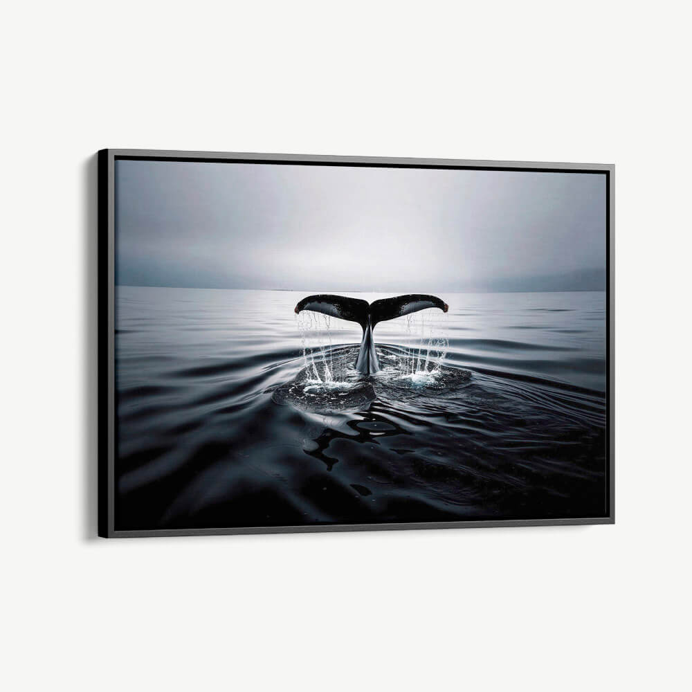 "Whale's Tail"