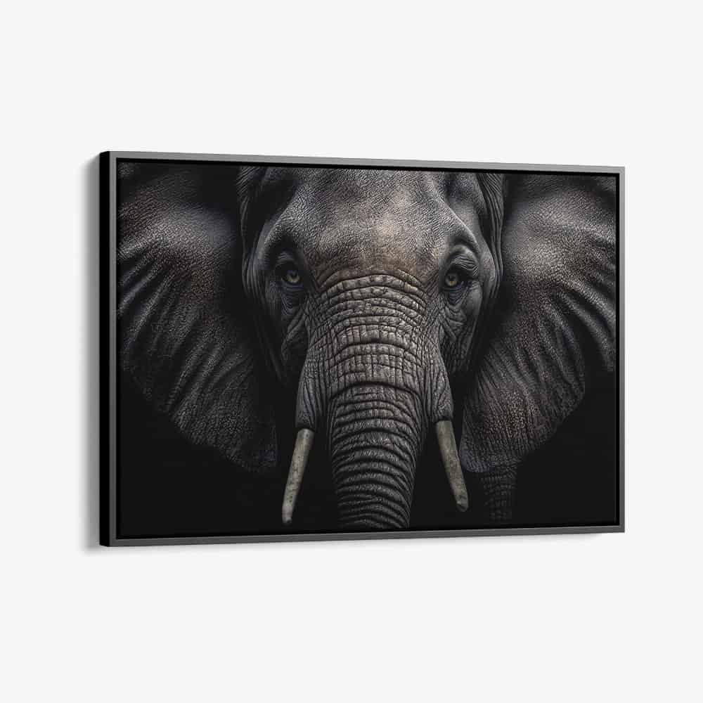 "Elephant Close-Up"