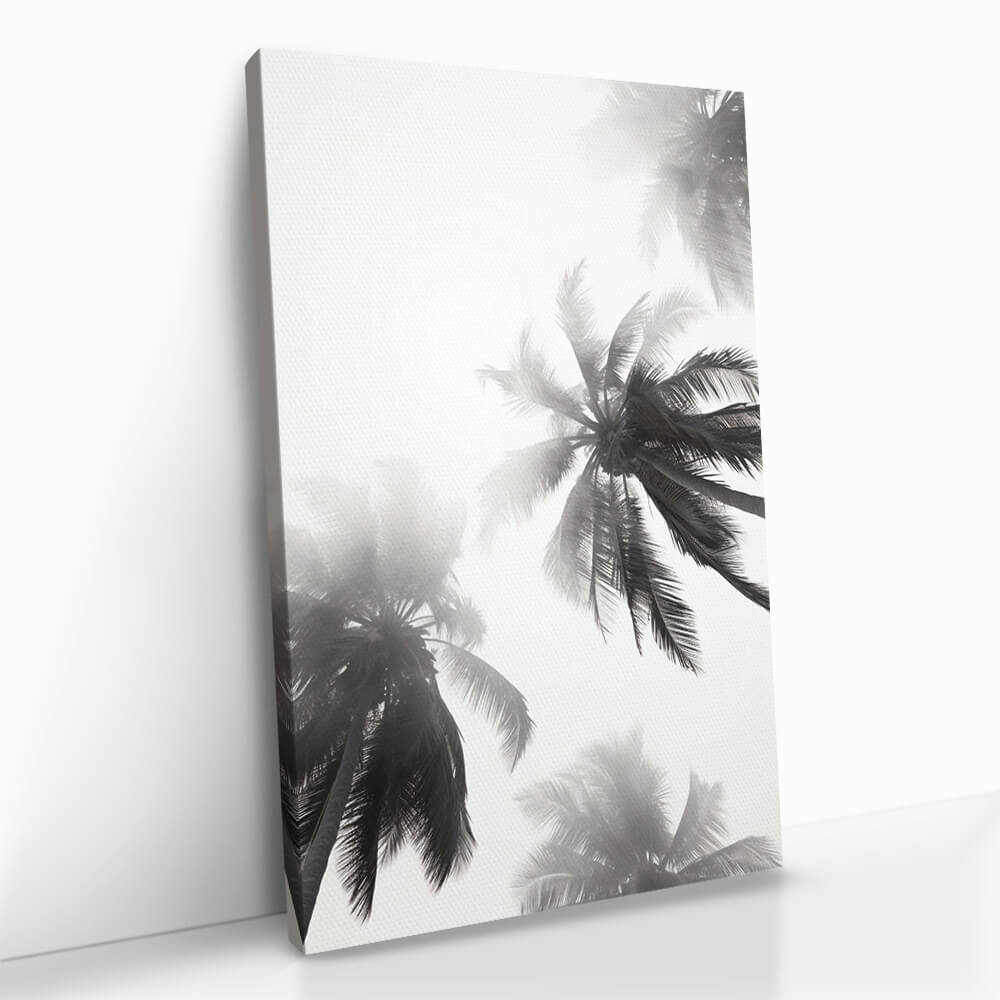 “Palm top”