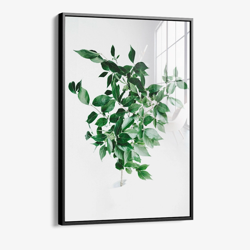 Green Construct – Verre