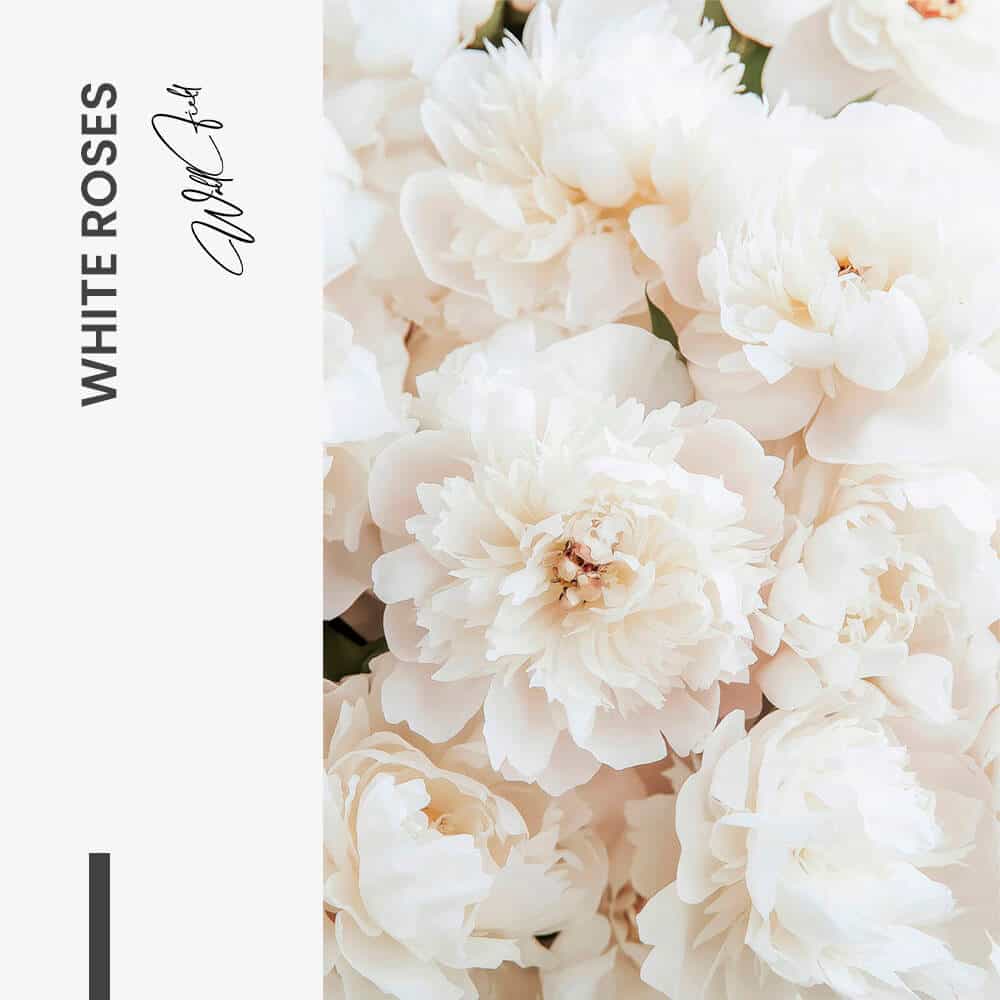 "White Roses"