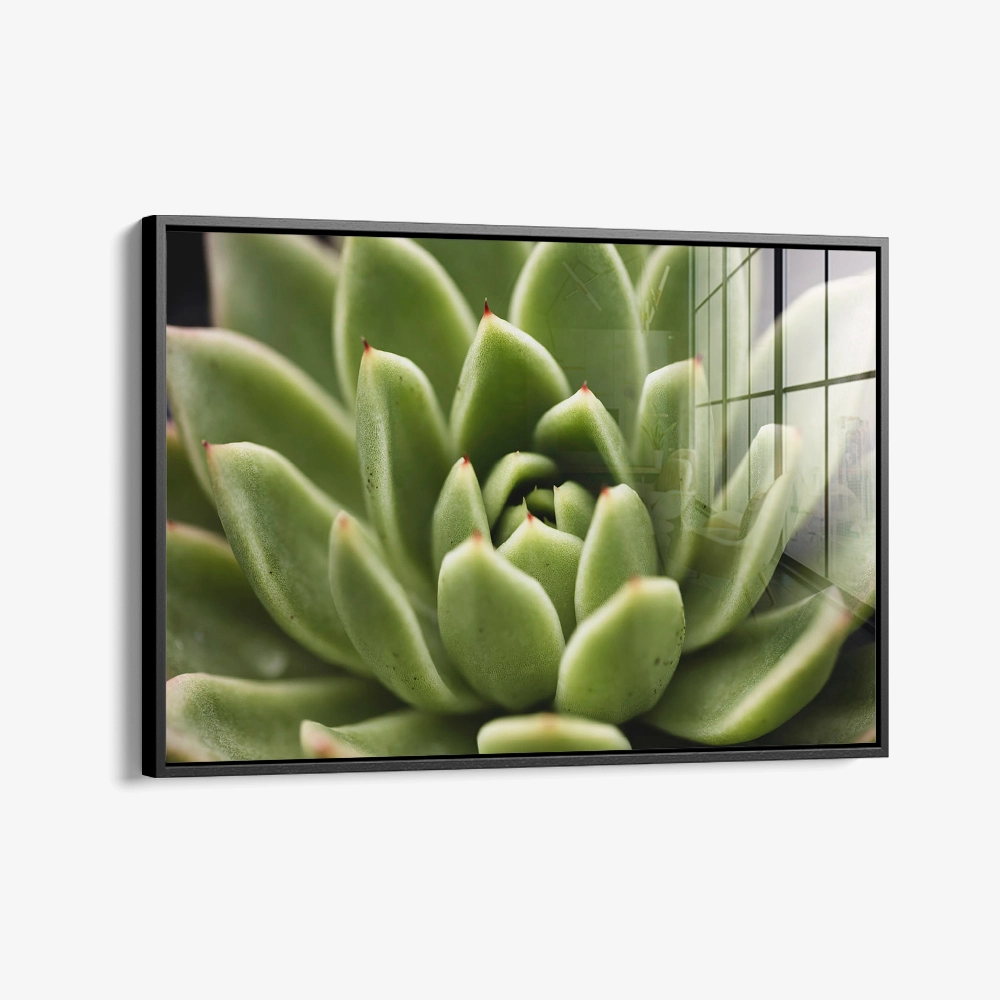 Thorn Array – Verre