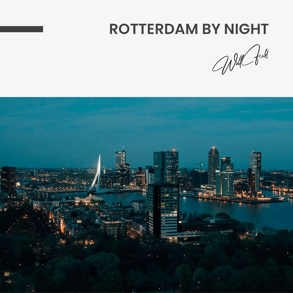 Rotterdam by Night – Verre