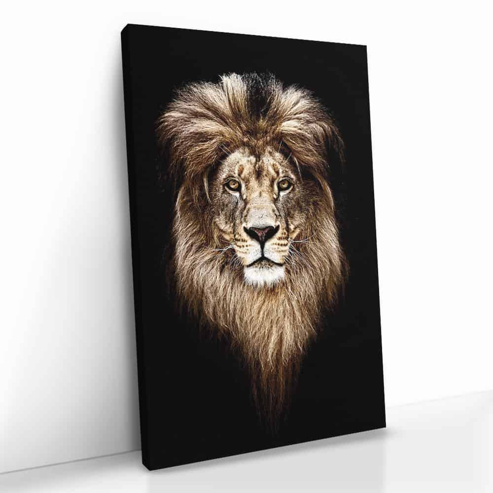 "Lion Head"