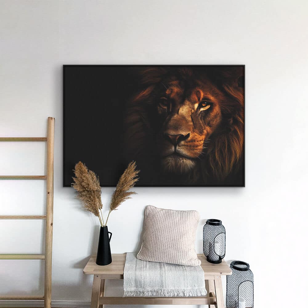 "Lion In The Dark HZ"