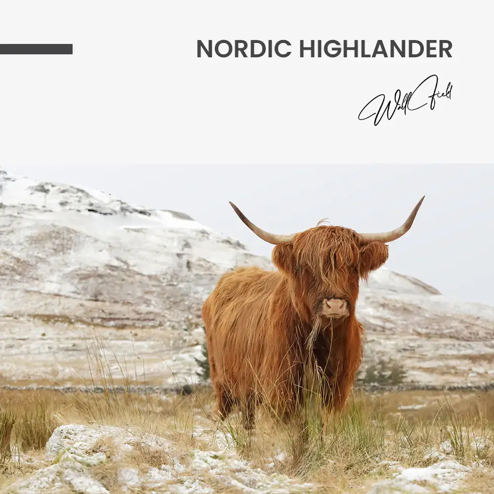 Nordic Highlander – Verre