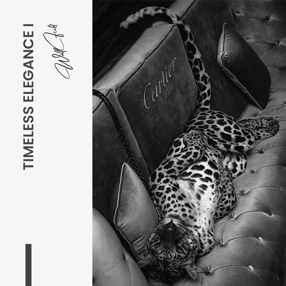 Bundle: "Timeless Elegance" (2x) – Verre
