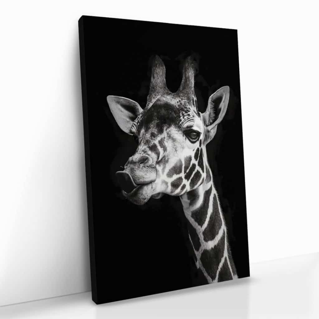 "Giraffe"