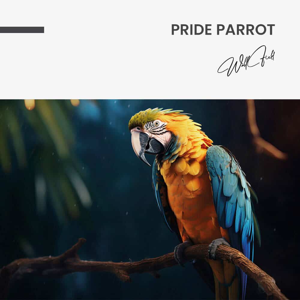 “Pride Parrot”