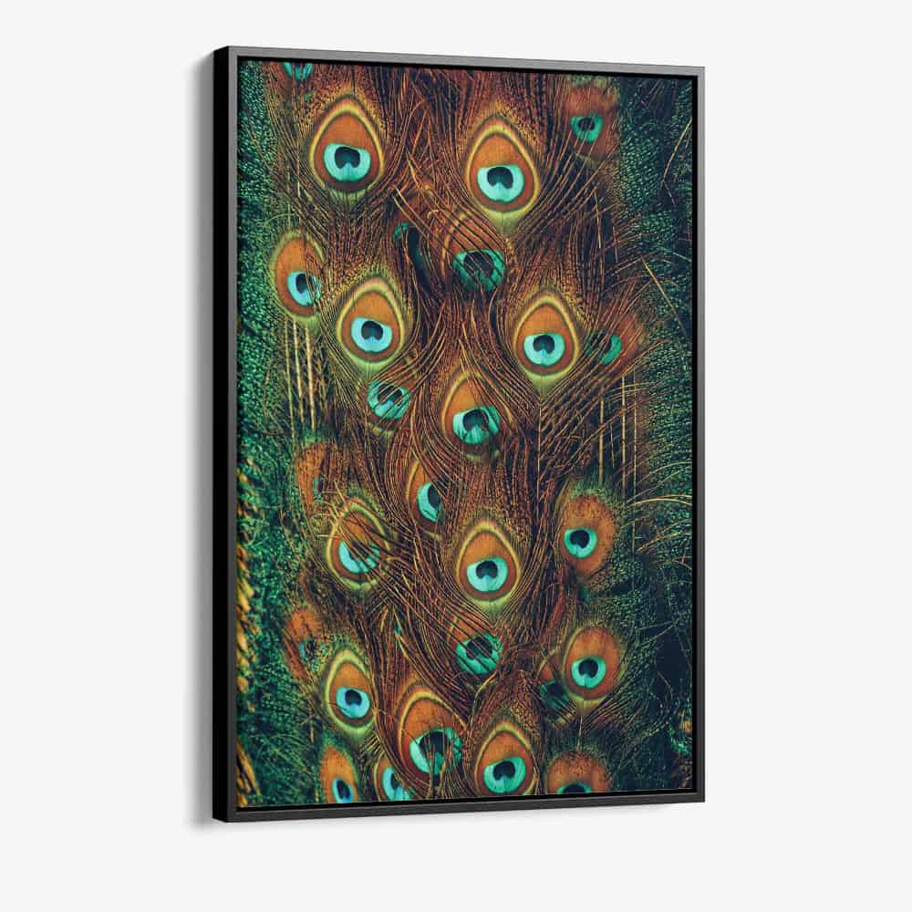 "Peacock Feathers"