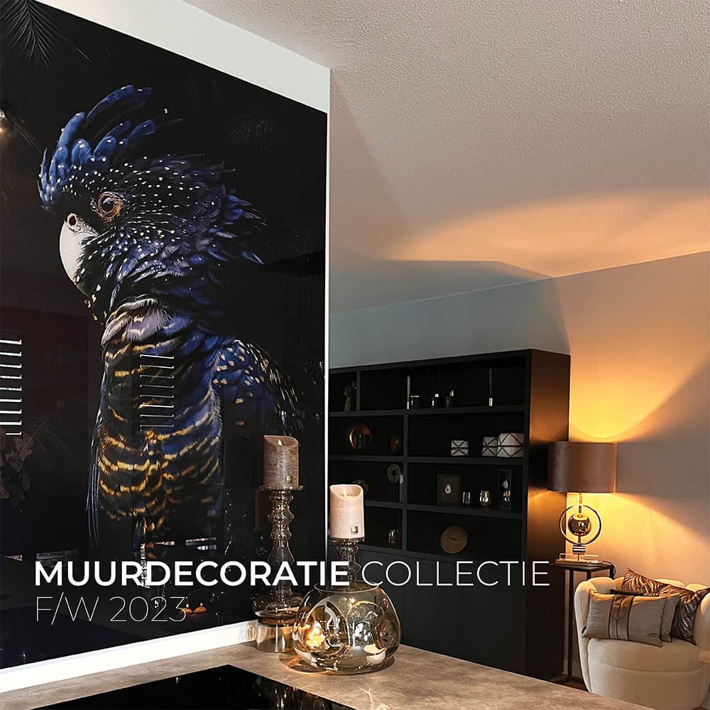 "Midnight Legend"